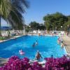 Piscina circondata da palme e fiori con persone che nuotano.