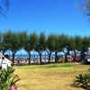 Campeggio con alberi e vista mare.